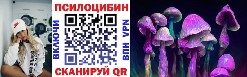 Псилоцибиновые грибы Psilocybe  Купить  Беслан 